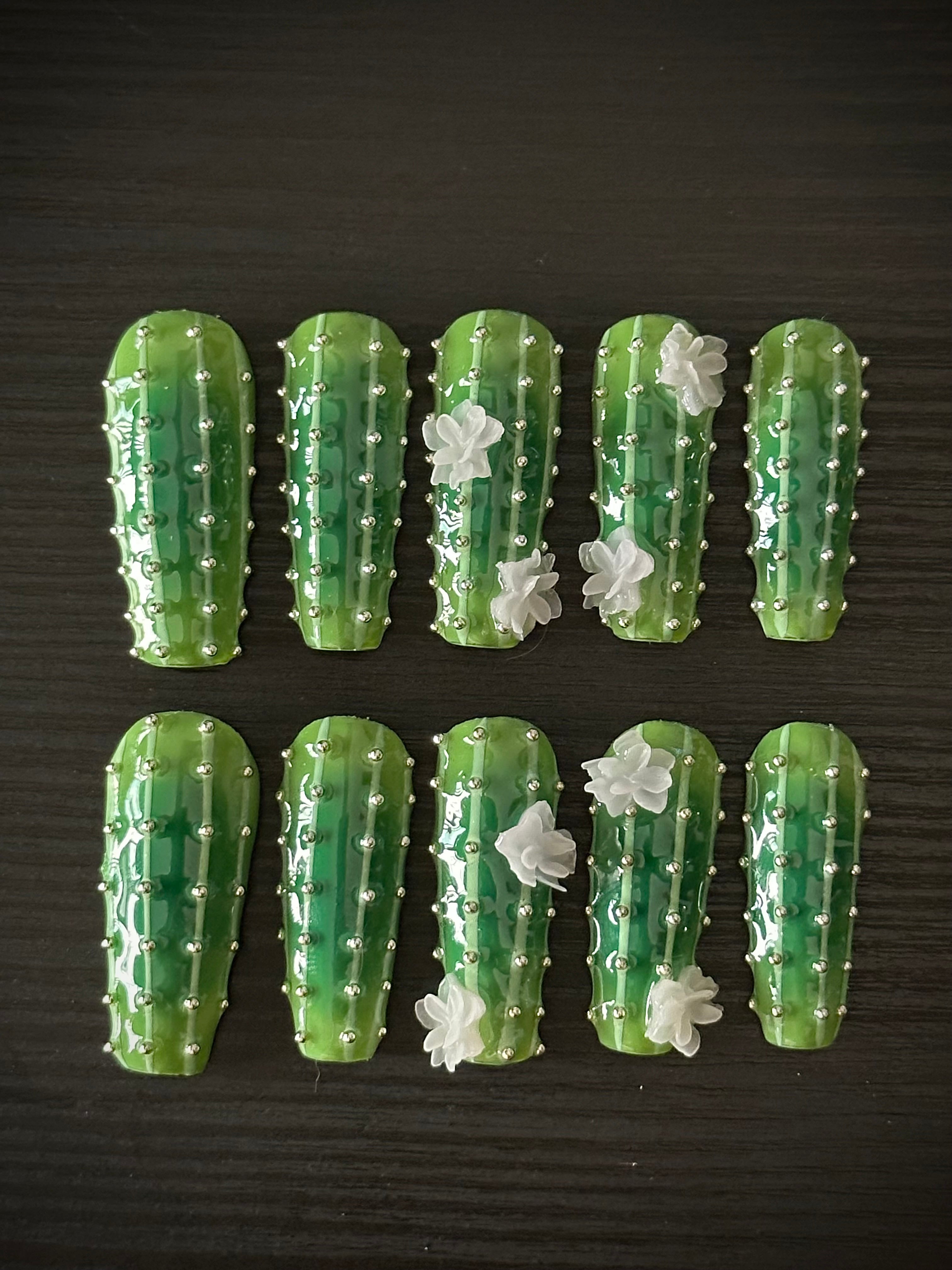 Cactus