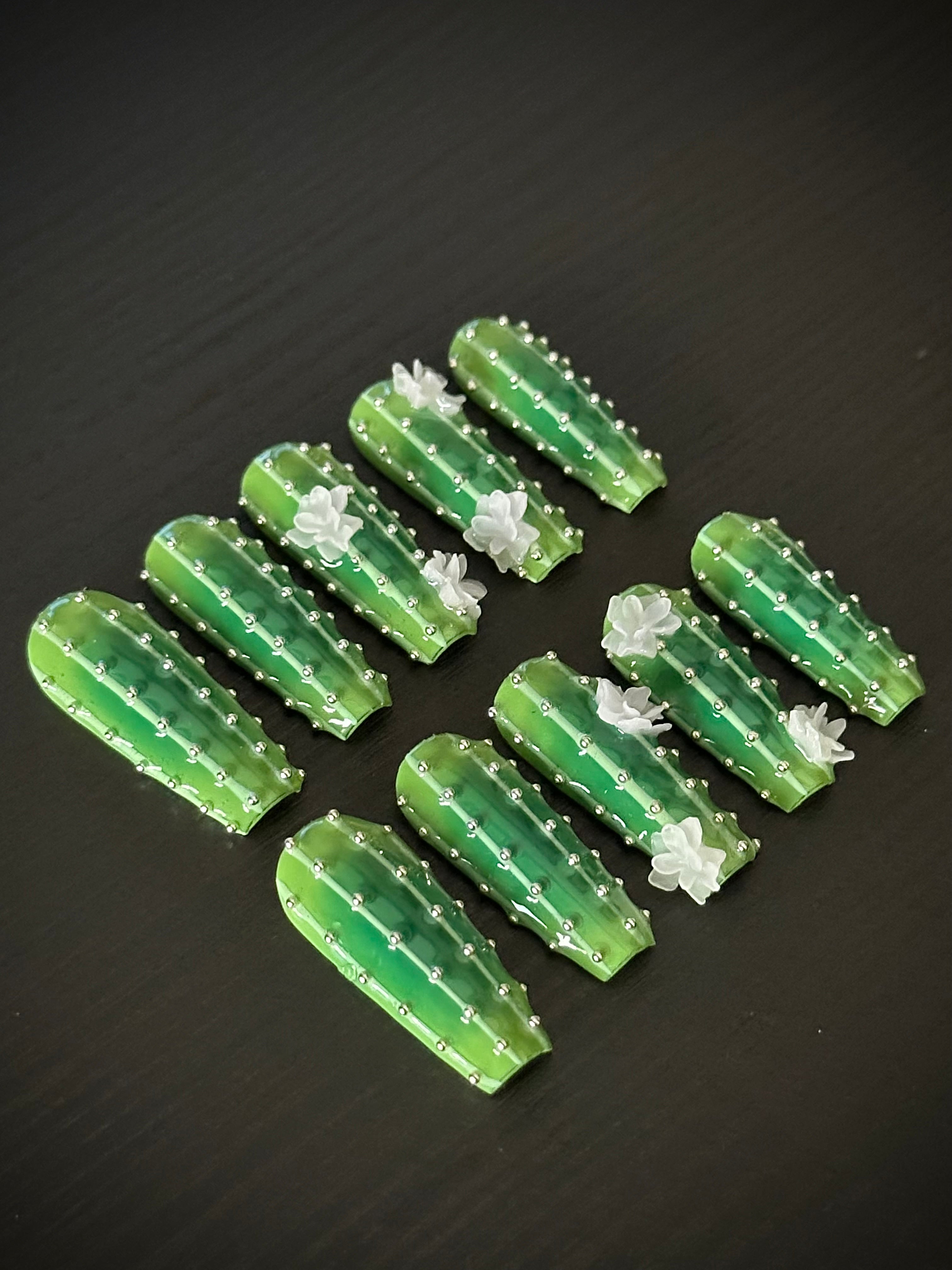 Cactus